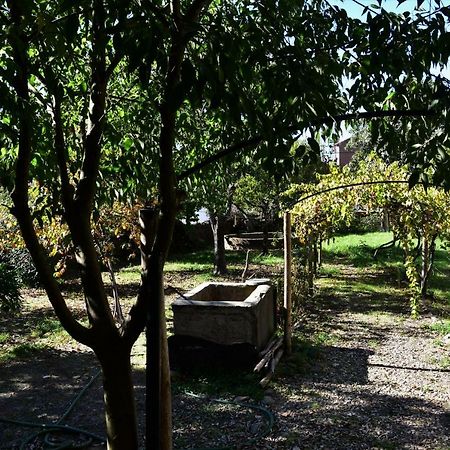 Casa Dona Amelia Villa Idanha-a-Nova Bagian luar foto