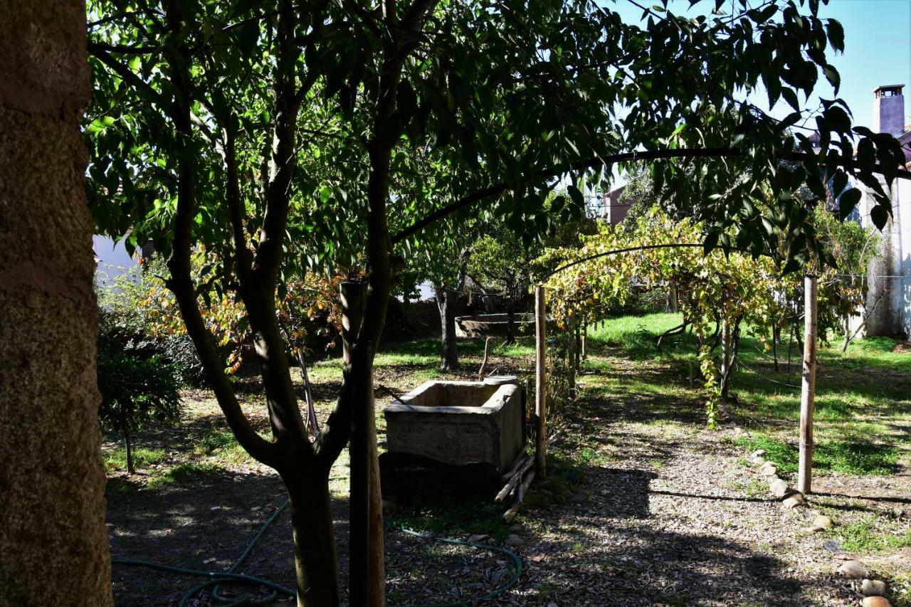 Casa Dona Amelia Villa Idanha-a-Nova Bagian luar foto